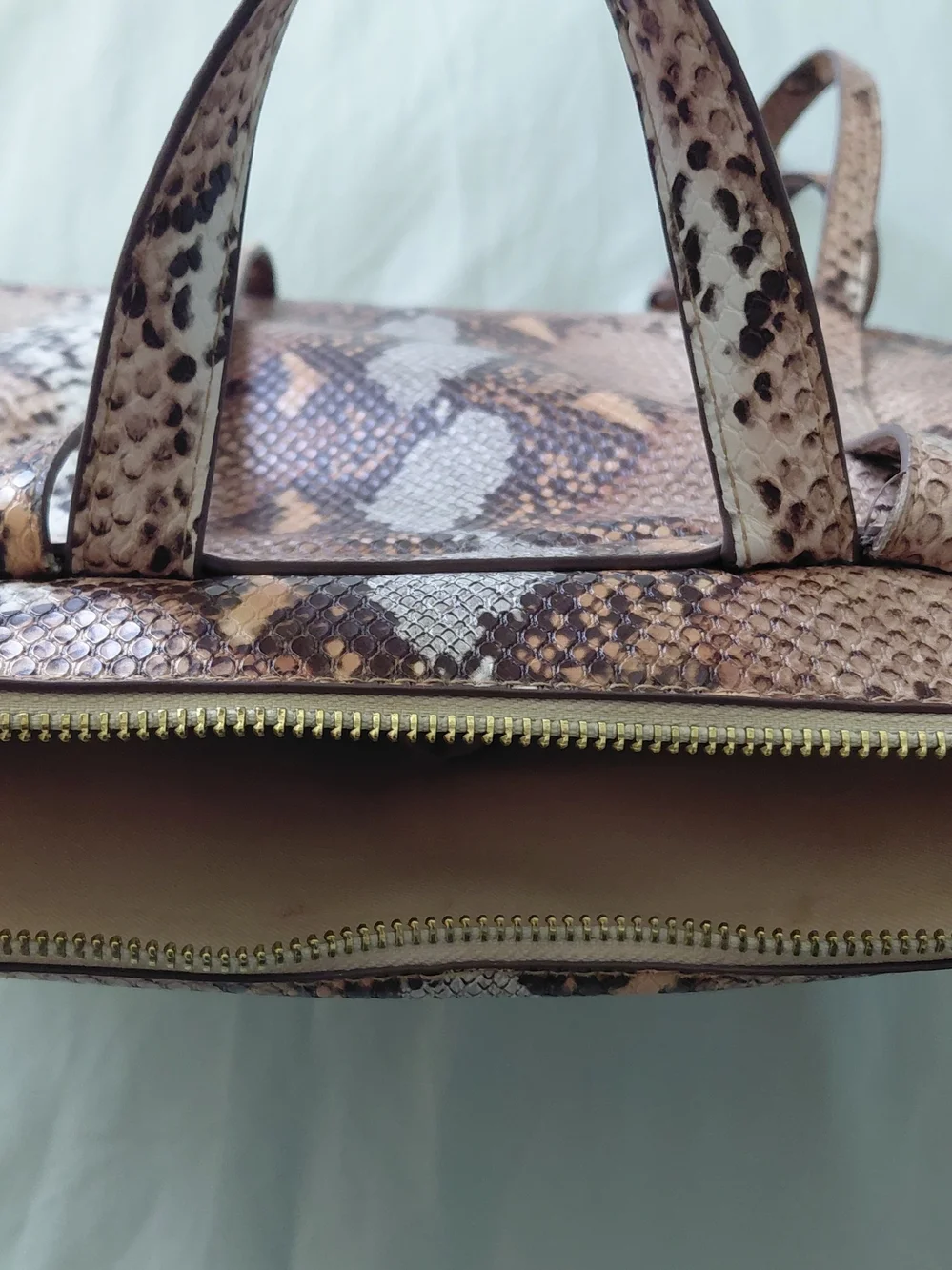 Snake-Print Backpack - Picture 4 of 11